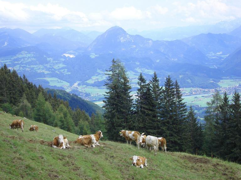 Ein Blick auf Oberau