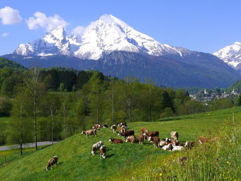 Blick zum  Watzmann