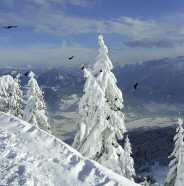 Der Winter in Oberau